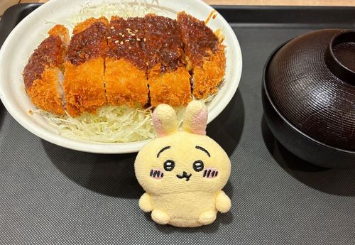 まつのや！クーポンで味噌ロースカツ丼が500円！🐰🎶✌️🍚