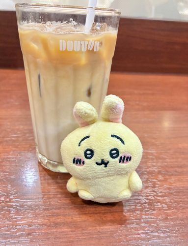 ドトールでひとやすみ🐰☕️