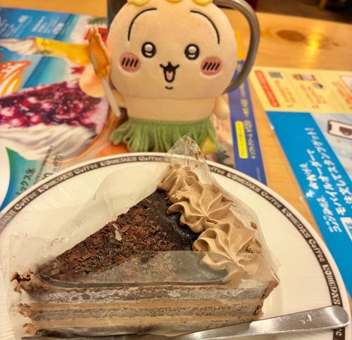 コメダの凍ったまま食べるチョコケーキ🍰🧊冷たくて美味しかった🐰🍫