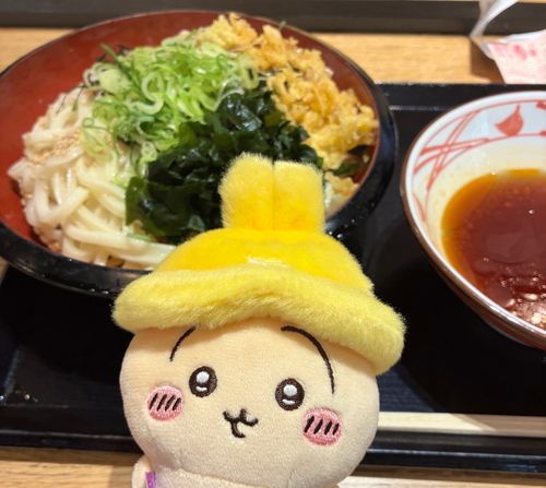 丸亀！うどん3玉まで同一価格のやつにしたよ〜🥢2玉にして食べ切れた！🐰💪🎶