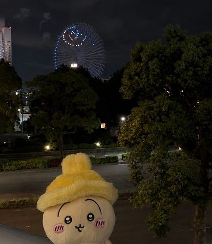 ちいかわ花火、軽く見れればいいかな〜の気持ちで行ったら観覧車の後ろ側で花火上がってて上手く写真撮れなかったんだ〜🐰🎆