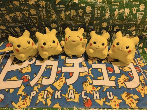 僕たちのタオルだよ〜！
ぼくら、ピカチュウファイブ⚡️
←チビピカ、ピカチュ、ぼく、ピャーチカ、タグチュ→
仲間が増えたら、ピカシックスとかピカセブンとかになるのかも〜？