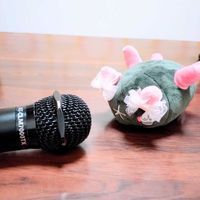 ナマちゃんと愉快な仲間たち