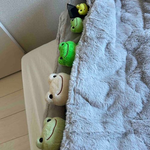 みんなでねたらいいゆめみれそうー！！