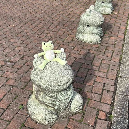 かえるのおともだちだー！！
けっこうがっしりしてますね