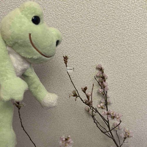 てっぺんのさくら、さかないねぇ〜、、
