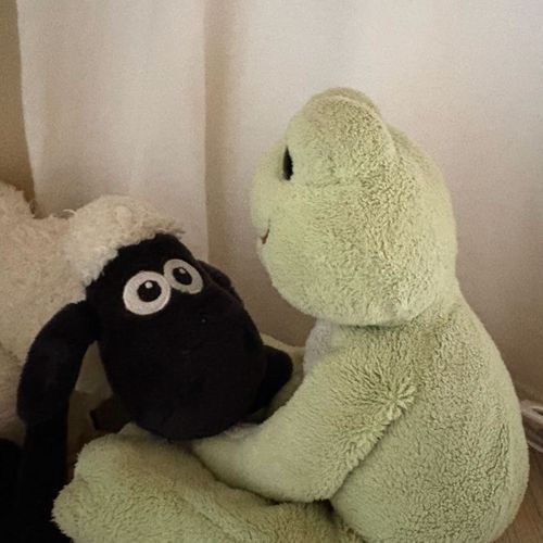 ひつじのともだち🐏🐸
くったりなかま