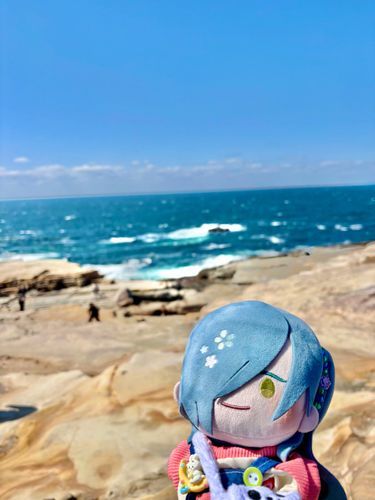 おはよう🌊