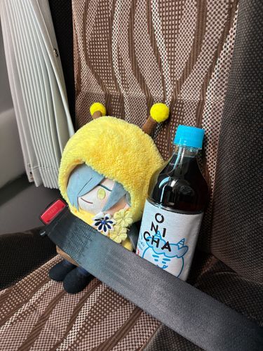 おにちゃだよ