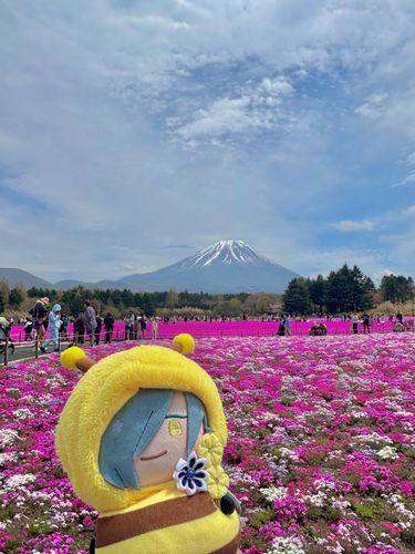 富士山だよ🗻