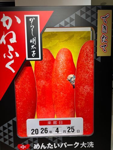 明太子からひょっこりだよ