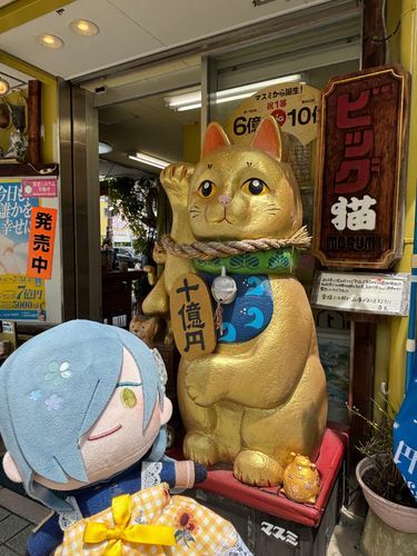 金色でめでたいねぇ🐱