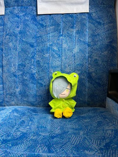 おはよう🐸