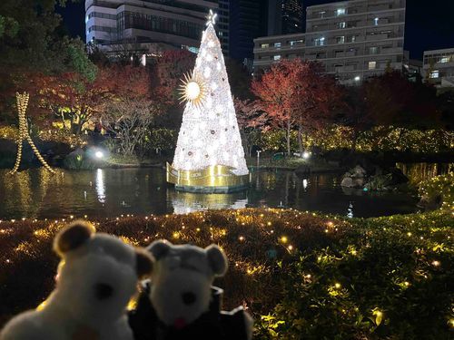 クリスマスヨボね〜