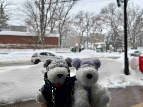 雪だーーーーっ