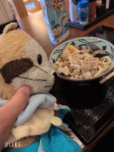 ぬい活
ぬいぐるみちゃんの大好きな肉うどん！もぐもぐ
