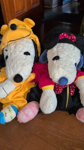 ふくきせてもらったよ！
ちなみに、子供服
小さい頃飼い主さんが、きてた服
