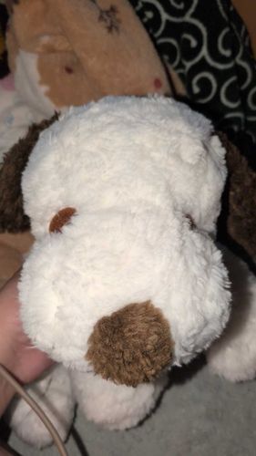 小さい頃もってたスヌーピーに、似た顔の子を、メルカリでみつけてしまった。
昔落としてしまって、探しまくってた子。転生してくれたんだね。ルーちゃん😭 少し大きくなって帰ってきたWWW