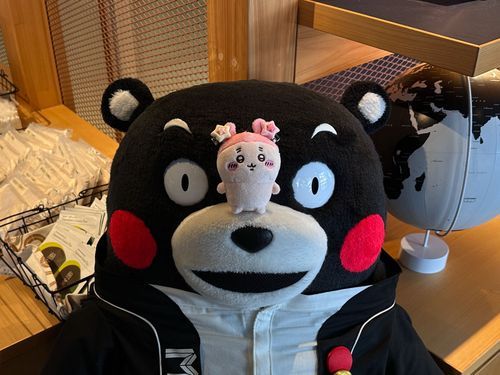 HiHi熊本さん🐻～
