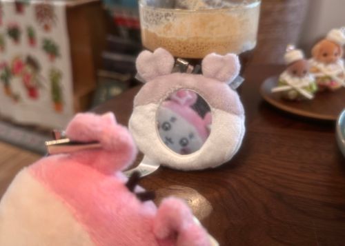 ヤーホ✰
