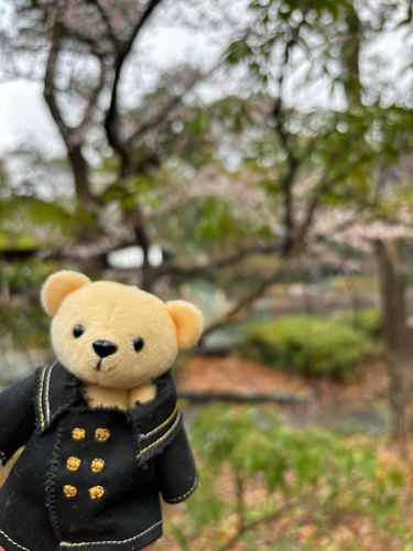 もちぬしはりょこうちゅうなのでピポパにかわってチャイがおとどけします