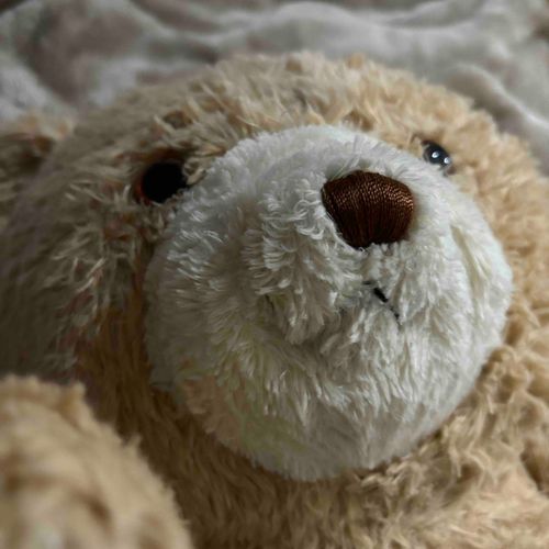 持ち主がお風呂に入ってる間にお布団で自撮りしてみた。

僕のお家は持ち主のお布団だけど、最近持ち主は帰ってくるのも寝るのも遅いから結構暇。
