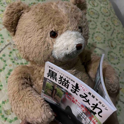 最近持ち主はよくしごとで使う本を買ってくる。
でも持ち主、これ本当にしごとで使うの？