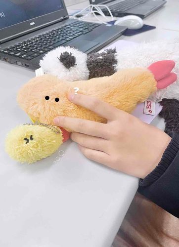 ﾆﾄﾞｱｹﾞｴﾋﾞ､､!?（理想の姿）