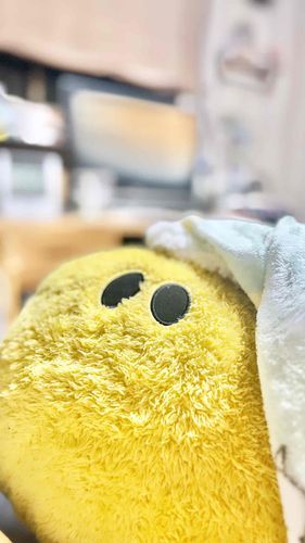 新年の挨拶遅れてしまいました💦
本年も引き続きえびふらいをよろしくお願いいたします♡
お正月はおこたとブランケットの2もふもふでぽかぽかしてました♡
2月まで頻度はゆっくりですがよろしくお願いいたします✨️