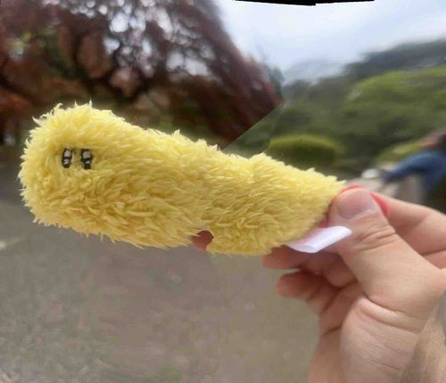 伸びたー！！！！
