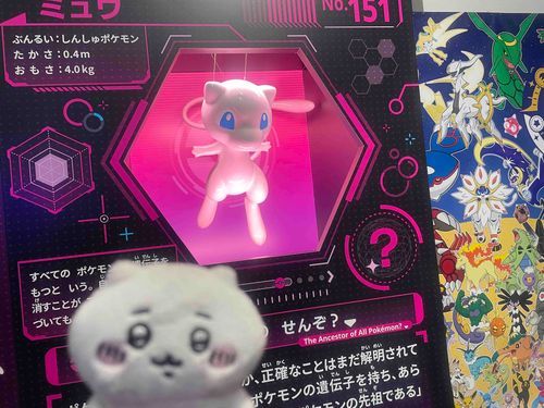 しんしゅ？