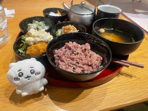 もちもちごはん