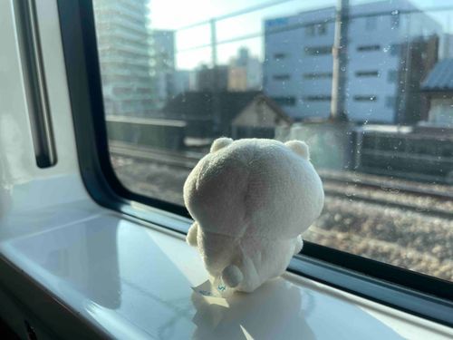 今日はどこかな