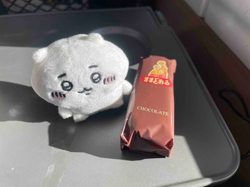 けっこんしきだったよ　うままどおる