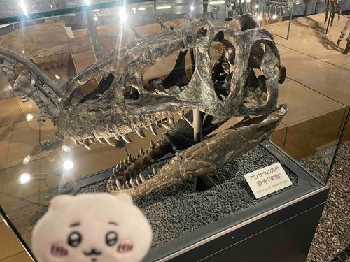 ｱﾀﾏ