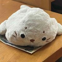 もちょちょ