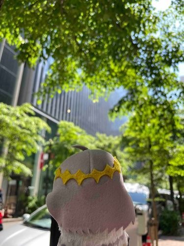 今日はいいてんき！