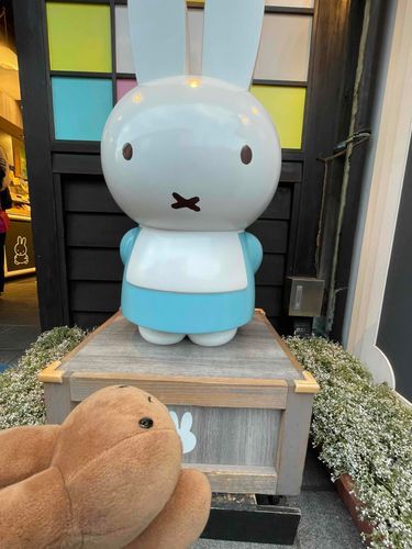 み、みっふぃーさん…！