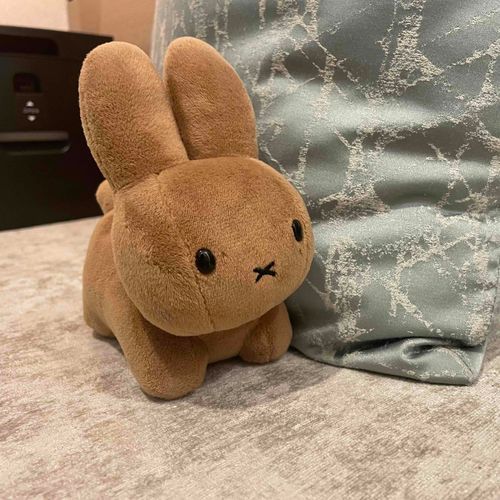 ホテルに泊まったよ