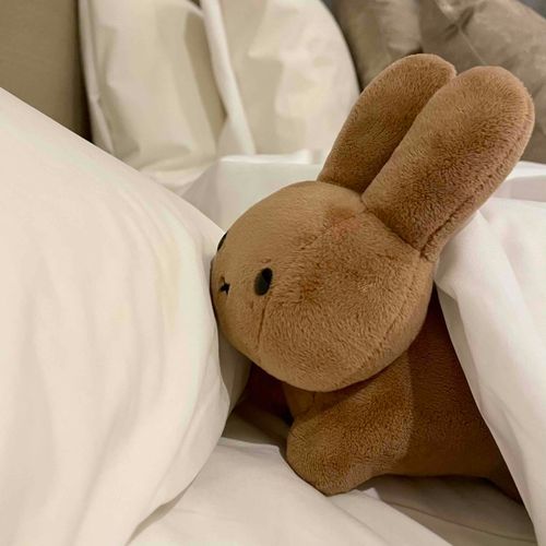 よく眠れたね