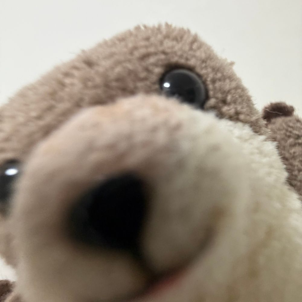 ぴんぽーん
こんばんわ わっちです
あけて