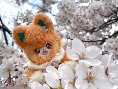 ﾊﾟ!
