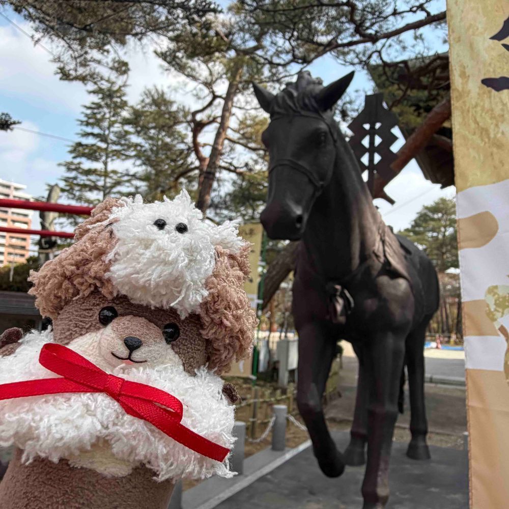 このまえ ちょと おでかけしたの！
おうまさんが いっぱいの じんじゃ！
とっても かっこよかった
よんまいめは わっち どこか わかるかな？むずかしよ！