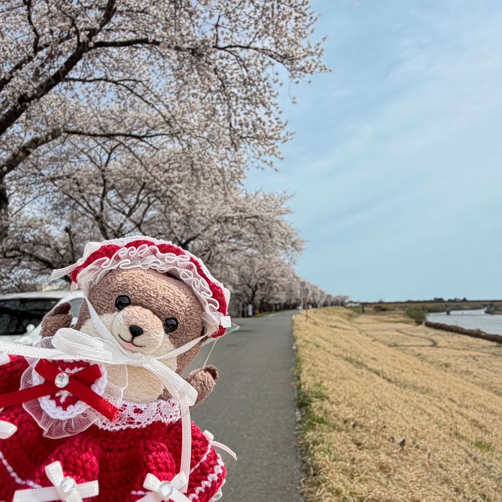 ね ねね！
わっちも さくら みたの！
かわのよこにね ばーって いっぱい！
うた うたって おさんぽ した！
あめとか はれとかで つかれちゃったにんげんちゃん ふわもこちゃん わっちみて げんき だして
