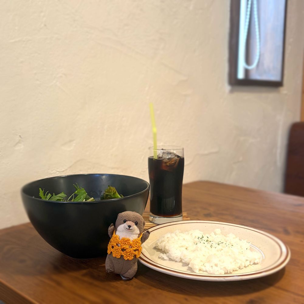 すたばの よーぐるとのやつ のんだ！
よーぐるとも ももも だいすきだから うれし
すぷかれーも たべたよ
かれー わっちと おんなじ いろ！ちゃいろ！