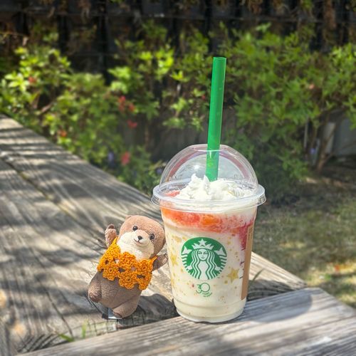 すたばの よーぐるとのやつ のんだ！
よーぐるとも ももも だいすきだから うれし
すぷかれーも たべたよ
かれー わっちと おんなじ いろ！ちゃいろ！