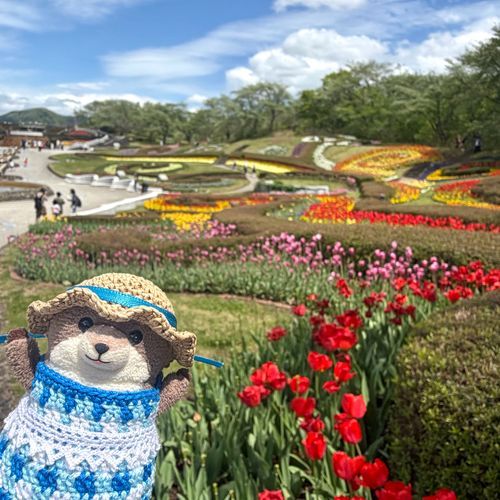 どらいぶして おはな みてきたよ！
ちゅりっぷ ぱんじ びおら！
あか しろ きいろ！