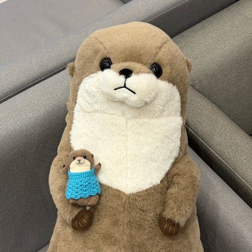 わっちのおうちに！
あたらしい かぞくが きたよ！！
まがったおくちに ぽっこりおなか
すっごく かわいでしょ？
かいぬしが げーむせんたーで いっぱいおかねつかって おむかえしたから りっち くん だよ！