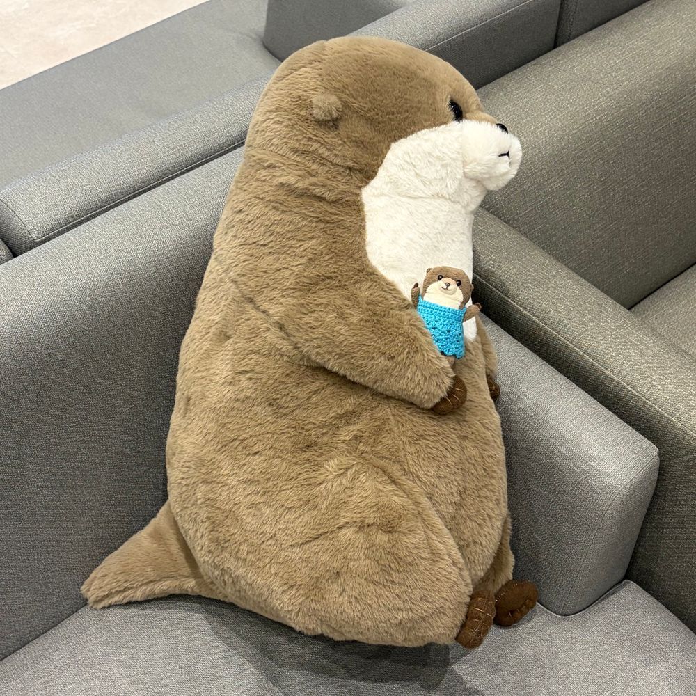 わっちのおうちに！
あたらしい かぞくが きたよ！！
まがったおくちに ぽっこりおなか
すっごく かわいでしょ？
かいぬしが げーむせんたーで いっぱいおかねつかって おむかえしたから りっち くん だよ！