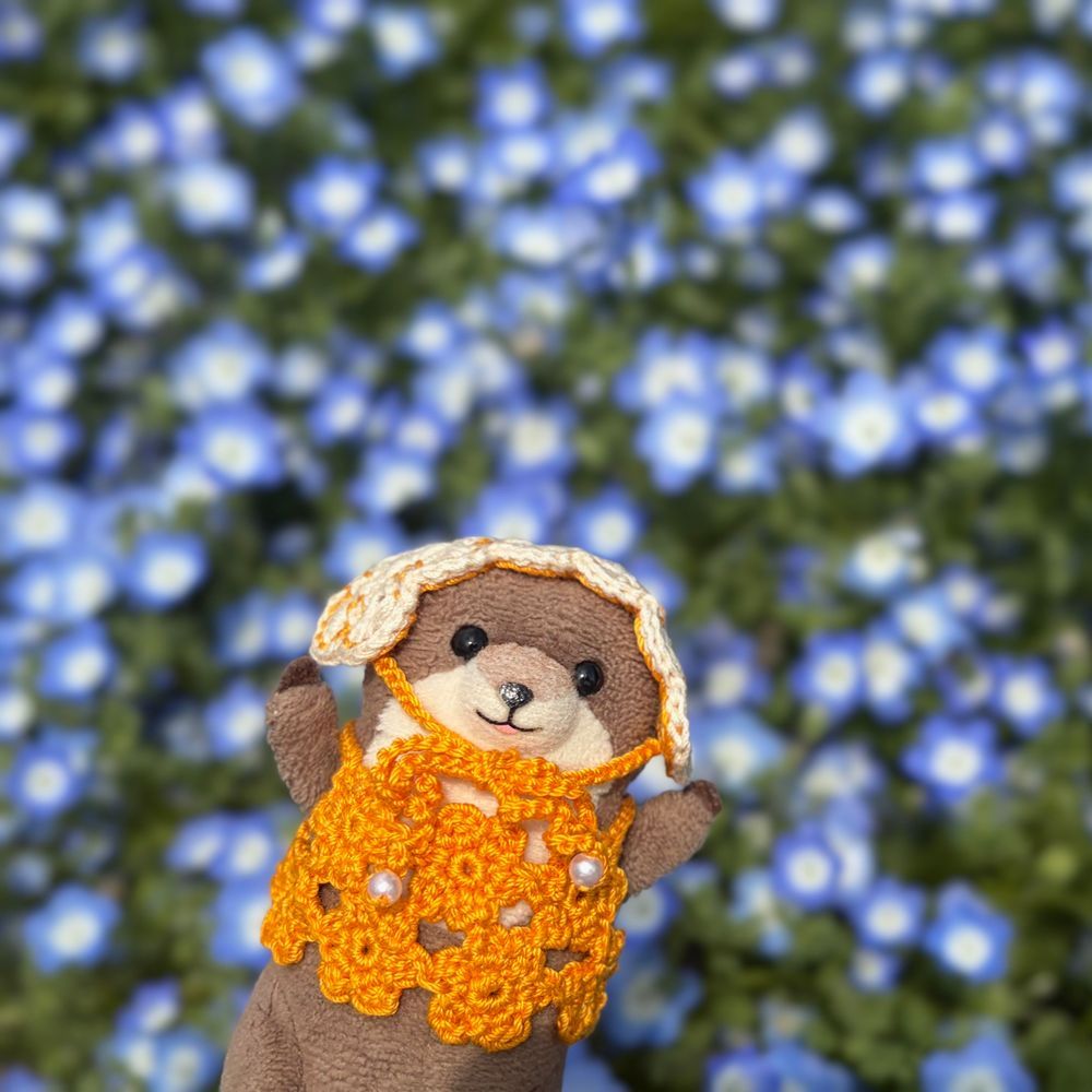 ふーしゃと ねもひら みてきたよ！
みずいろは みたことあるけど しろいのは はじめてみたよ！
これも ねもひらの なかま だって！もようが かわいよね
ふかふかの ぱんけきも たべたよん
けっこ おなかいっぱい なった